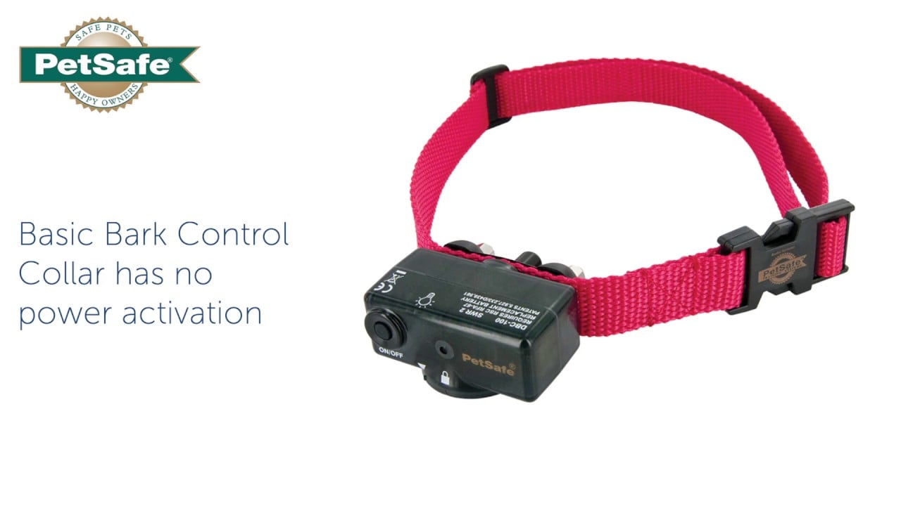 Basic Bark Control Collar Has No Power or Activation