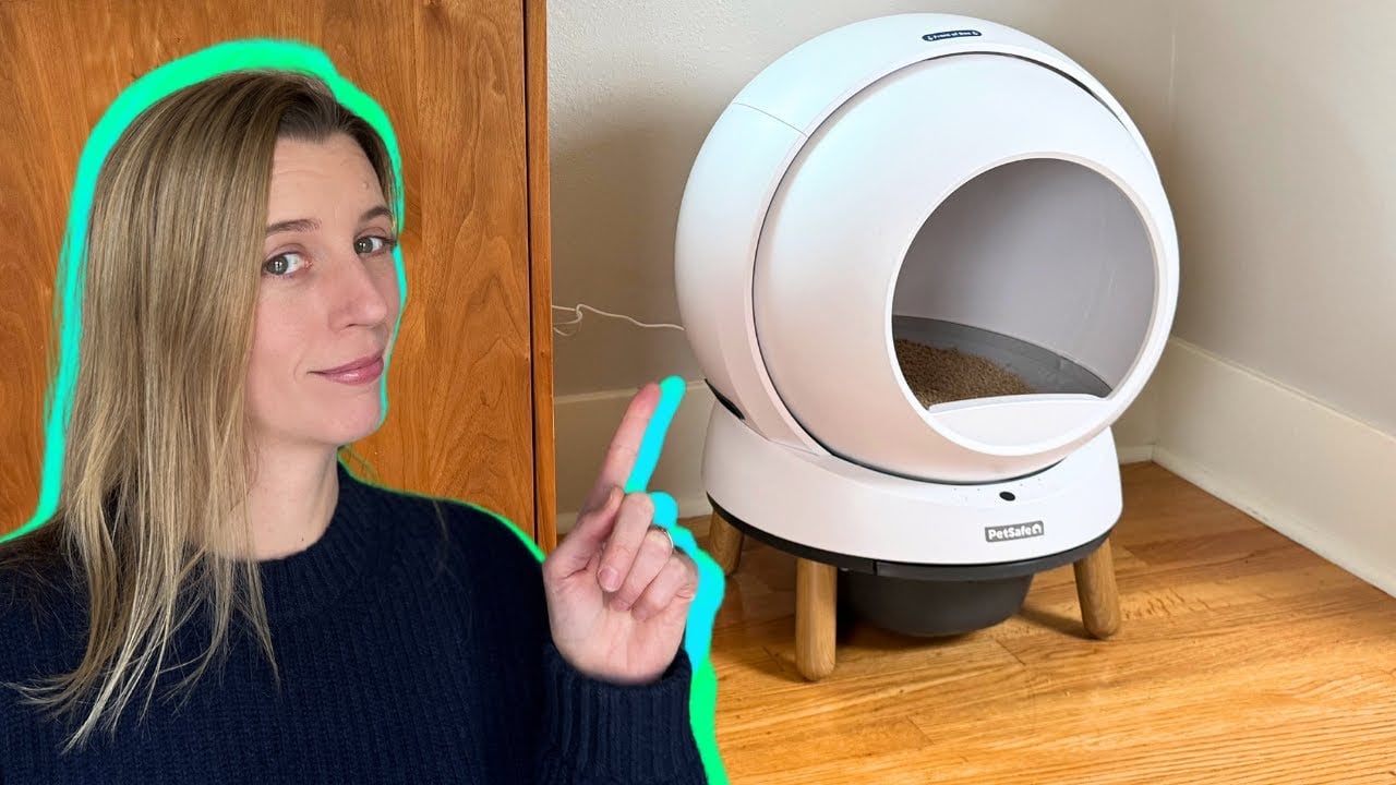PetSafe SmartSpin Cat Litter Box: Pros, Cons & First Week