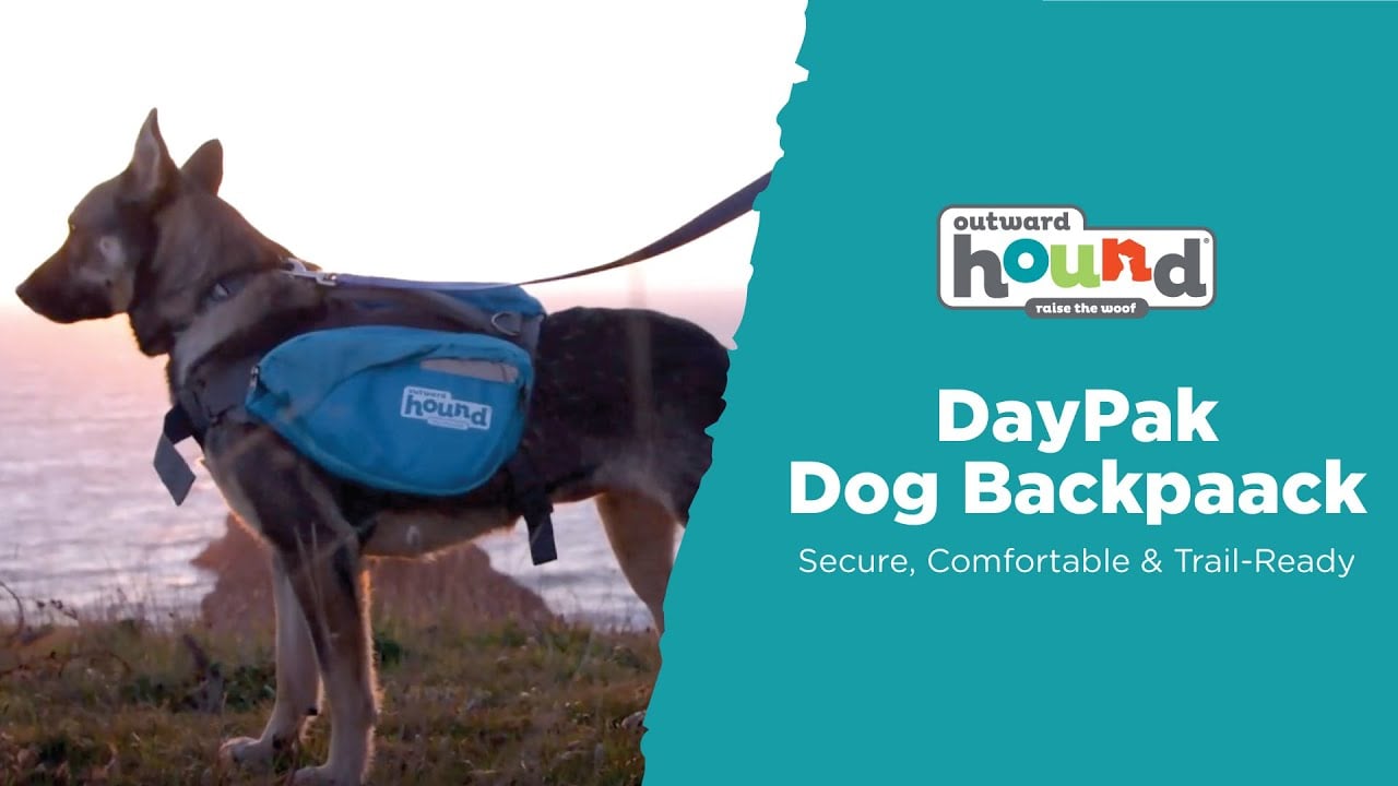 Outward Hound DayPak Dog Backpack - Secure, Comfortable & Trail-Ready