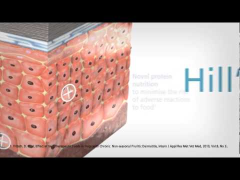 Hill's™ Prescription Diet™ d/d™ and Prescription Diet™ z/d™
