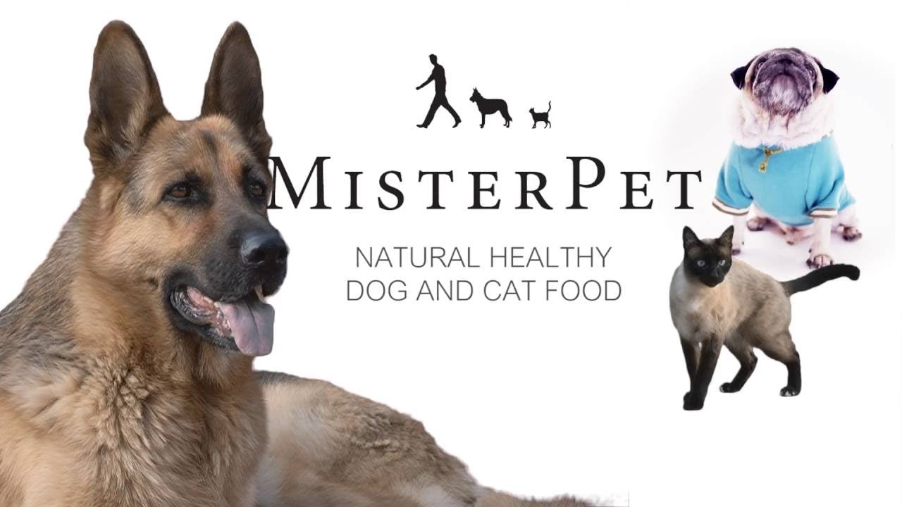 Mister Pet - Primordial