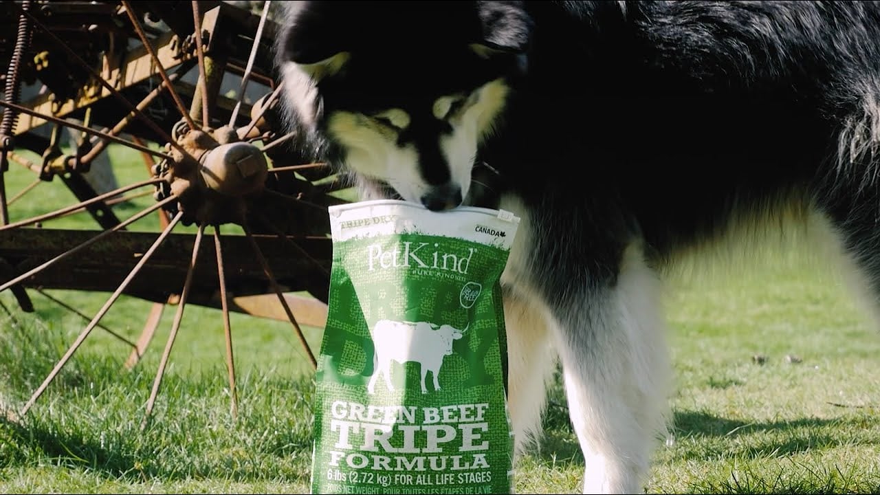 Welcome to the PetKind Family