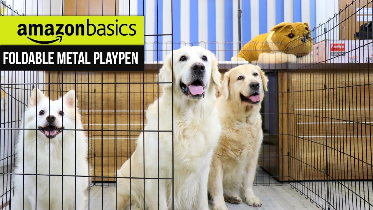 Amazonbasics Foldable Metal Dog/Pet Playpen & My Naughty Dogs