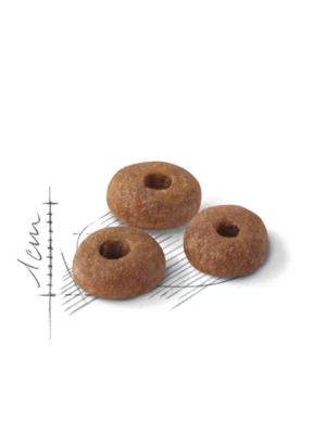 גודל כופתיות רויאל קנין פיט 32