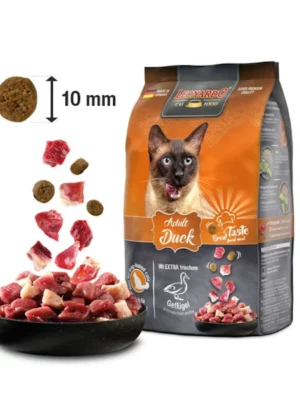 לאונרדו ברווז לחתול