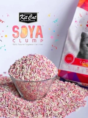 חול סויה קונפטי לחתול