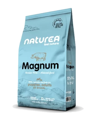 נטוראה בוגר/גור חזיר בר 12 ק"ג