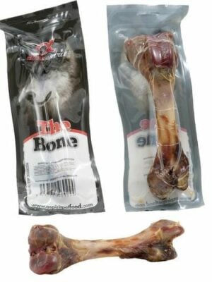 עצם חזיר לכלב