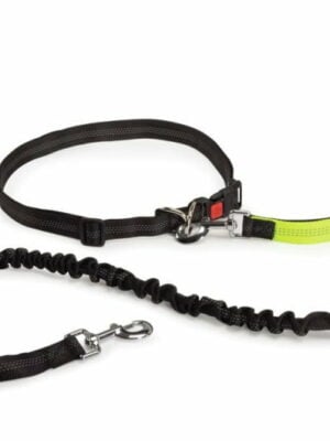 רצועת ספורט לכלב S-M וולקי