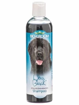 שמפו לפרווה שחורה