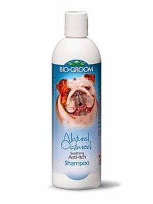 שמפו שיבולת שועל