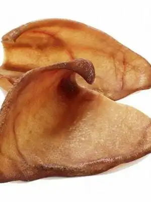 אוזן חזיר גדולה לכלב