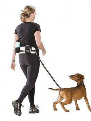 חגורת ספורט