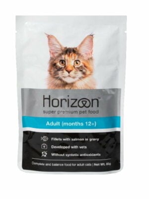 פאוץ הורייזן סלמון