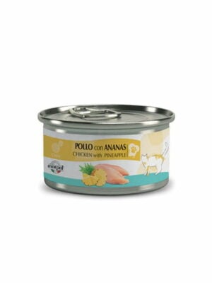 שימורי שף עוף ואננס 80 גרם