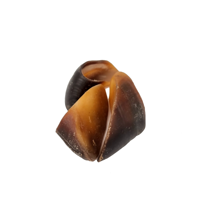 פרסת בפאלו וויגל - 1 יחידה