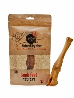 רגל טלה וויגל