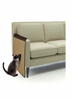 שטיח גירוד לספות