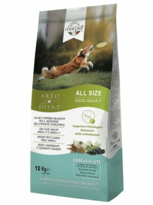 אקוליבריה ארטו ג'וינט