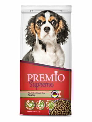 פרמיו כלב בוגר מיני