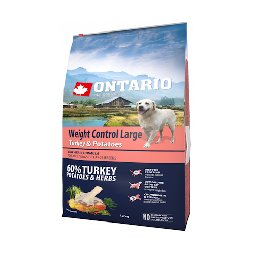 מזון דיאטטי לכלב גדול