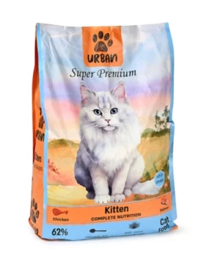 אורבן חתול קיטן