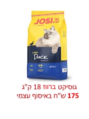 גוסיקט ברווז ב175 ש"ח באיסוף עצמי