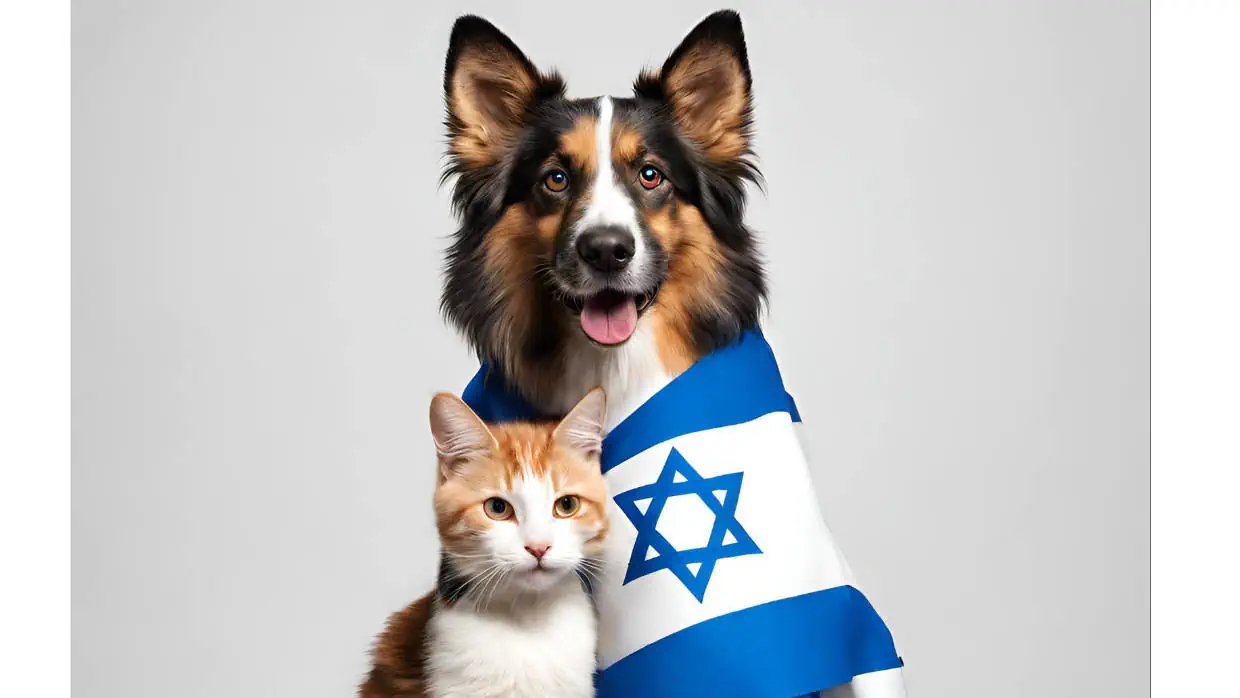 פט פלנט חנות חיות