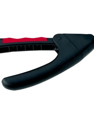 קוצץ ציפורניים - גליוטינה