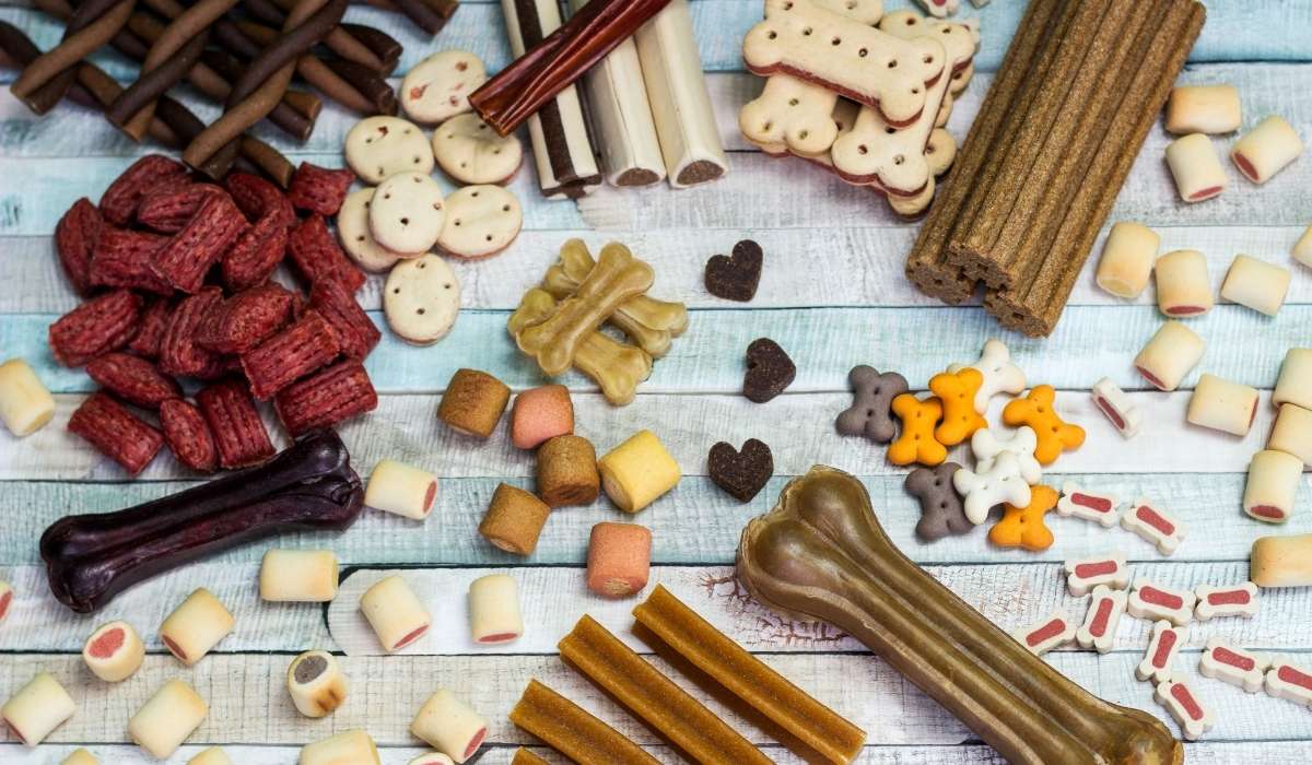 תמונה המציגה חטיפים טבעיים לכלבים פט פלנט