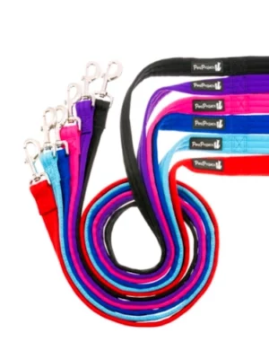 רצועת הולכה רכה לכלב