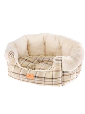 מיטה אטויל לכלב