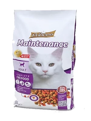 פרינסס לחתול בוגר