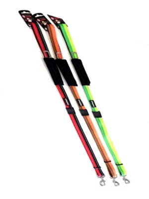 רצועת בטיחות לכלב עם רצועת הולכה