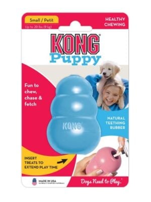 קונג גור סמול