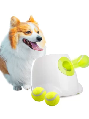 זורק כדורים לכלב