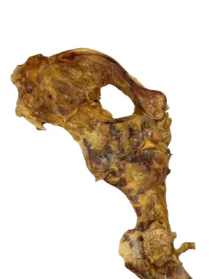 חטיף לעיסה טבעי לכלב